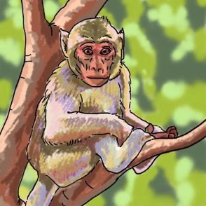 "Monkey"  
digital illustration